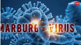 कोविड और मंकीपॉक्स से भी खतरनाक है ये वायरस, जानें इसके लक्षण और बचाव वरना...