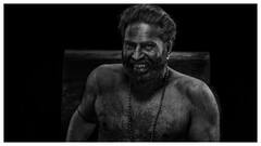 Top 10 Horror Films Of 2024, According To Letterboxd. Mammootty’s Bramayugam Ranks Second