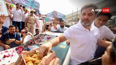 Haryana Elections: पहले पकौड़ा-जलेबी फिर चूल्हे का बना खाना, हरियाणवी बने राहुल गांधी की तस्वीरें मचा रहीं हंगामा