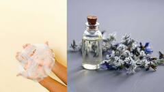 Skin Care:முகம் பொலிவுடன் ஆரோக்கியமாக இருக்க வேண்டுமா?இதோ மேஜிக் எண்ணெய் ரெசிபி!