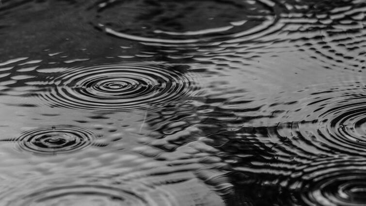 Tamil Nadu Rain Alert Indian Meteorological Department Chennai Say Heavy Rain TN Rain Alert:தமிழ்நாட்டில் ஒரு வாரத்திற்கு மழை இருக்கு - வானிலை முன்னறிவிப்பு விவரம்!