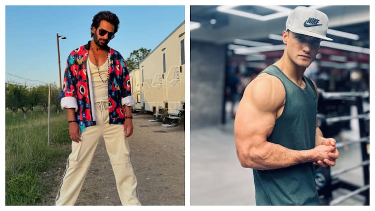 Karanveer Mehra Takes a Dig at Asim Riaz's Tweet: 'Too Much Steroid Hit Your Brains'