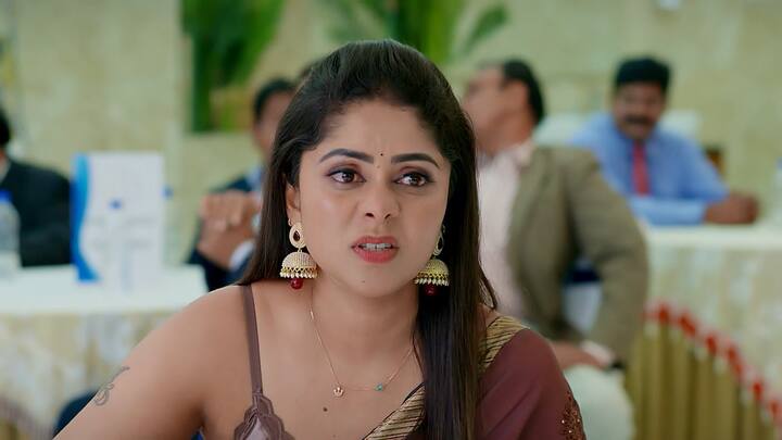 నేను డిజైన్లు వేసింది మీ కంపెనీకి కాదా సురేష్ గారు అని కావ్య అడుగుతుంది..ఆ కంపెనీ కూడా సామంత్‌ గ్రూప్‌ వాళ్ల బినామీనే నీకు తెలియదా అని రివర్స్ లో క్వశ్చన్ చేస్తాడు