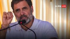 Haryana Elections: 'જંગલમાં સિંહ એકલો', હરિયાણામાં રાહુલ ગાંધીએ અમેરિકાનો એક કિસ્સો સંભળાવતાં કહ્યું....