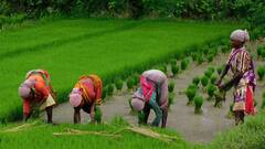 खाते में नहीं पहुंचे पीएम किसान योजना के दो हजार रुपये तो ऐसे पता लगाएं कारण
