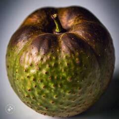 Weight loss Fruit: ਇਹ ਫਲ ਫੈਟ ਬਰਨਰ ਦੀ ਤਰ੍ਹਾਂ ਕੰਮ ਕਰਦੇ ਹਨ, ਜਾਣੋ ਕਿਹੜੇ