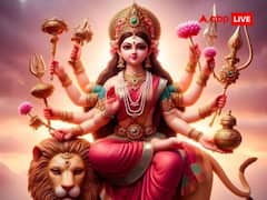 Shardiya Navratri 2024: नवरात्रि में जौ के साथ घर पर बोएं ये चीजें, बढ़ेगी सुख-समृद्धि