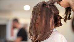 Hair Mask: ফিরবে জৌলুস, উৎসবের মরশুমে ব্যবহার করুন ঘরোয়া হেয়ার মাস্ক, কীভাবে তৈরি করবেন?