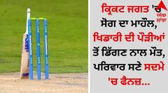Cricketer Death: ਕ੍ਰਿਕਟ ਜਗਤ 'ਚ ਸੋਗ ਦਾ ਮਾਹੌਲ, ਖਿਡਾਰੀ ਦੀ ਪੌੜੀਆਂ ਤੋਂ ਡਿੱਗਣ ਨਾਲ ਮੌਤ, ਪਰਿਵਾਰ ਸਣੇ ਸਦਮੇ 'ਚ ਫੈਨਜ਼