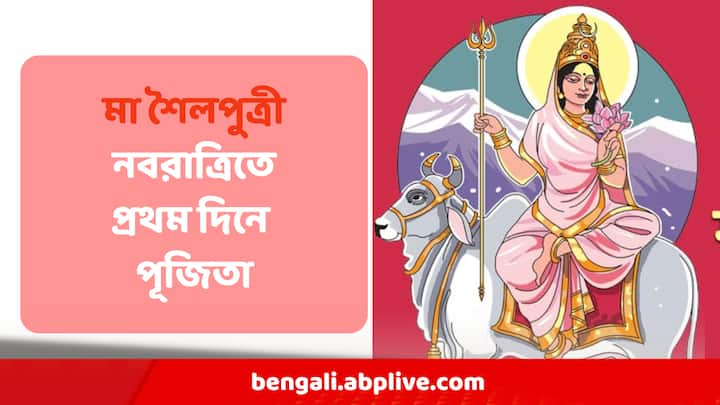 প্রতিপদে পূজিতা মা শৈলপুত্রী । তিনি শ্বেতবস্ত্র পরিহিতা।  শৈলপুত্রীর বাহন নন্দী ।  মায়ের ডান হাতে একটি ত্রিশূল এবং বাম হাতে একটি পদ্ম রয়েছে।