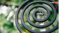 मच्छरों को भगाने कहीं आप भी तो नहीं जलाते मॉस्किटो कॉइल? जानें नुकसान