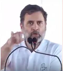 ' कांग्रेस पार्टी के शेर और शेरनियां विचारधारा की लड़ाई लड़ते है'- Rahul Gandhi | ABP NEWS SHORTS