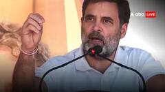 Haryana Elections: 'જંગલમાં સિંહ એકલો', હરિયાણામાં રાહુલ ગાંધીએ અમેરિકાનો એક કિસ્સો સંભળાવતાં કહ્યું....