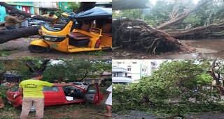 மதுரை மாநகரில் சூறைக்காற்றுடன் வெளுத்துவாங்கிய கனமழை: மரங்கள், மின்கம்பம் சேதம் !