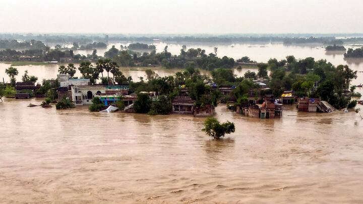প্রচণ্ড বর্ষণ ও কোশী নদীর জল মোতিহারির একাধিক জায়গা জলমগ্ন হয়ে পড়েছে(ছবি সৌজন্য-পিটিআই)