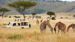 World Animal Day: Top Wildlife Safaris Around The Globe