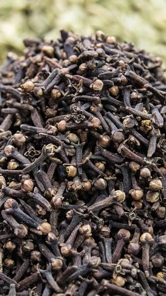 घर पर लौंग की खेती कैसे करें