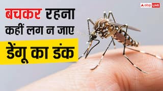 महज सात दिन में दिल्ली में मिले डेंगू के 400 नए केस, जानें किस समय और किन जगहों पर काटते हैं ये जानलेवा मच्छर?