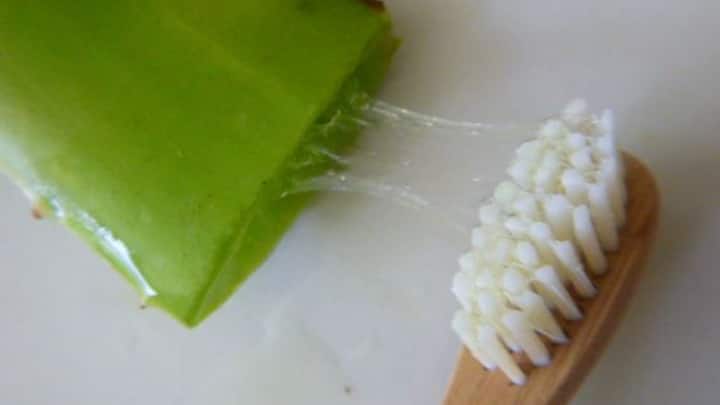 4. Aloe Vera Gel: Use pure aloe vera gel as a natural toothpaste. It has antibacterial properties that promote healthy gums. (Image Source: Pinterest/wordpressdotcom)