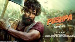 अल्लू अर्जुन नहीं बॉलीवुड का ये सुपरस्टार बनता ‘पुष्पा’, जानिए फिर क्यों रिजेक्ट की फिल्म