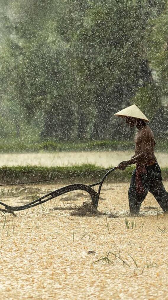 पीएम किसान योजना की 18वीं किस्त जारी होने से पहले कर लें ये काम