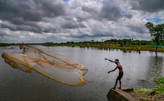 Durga Puja Weather: আজই ঘনাচ্ছে নিম্নচাপ, দুর্যোগ কাটবে কি পুজোর আগে? ষষ্ঠী থেকে দশমী, কবে কেমন আবহাওয়া?