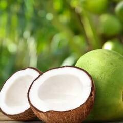 ਯੂਵੀ ਕਿਰਨਾਂ ਤੋਂ ਬਚਣ ਲਈ ਲਗਾਓ ਇਹ ਖਾਸ ਤੇਲ, ਮਿਲੇਗੀ ਰਾਹਤ