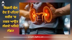ਕਿਡਨੀ ਫੇਲ ਹੋਣ ਤੋਂ ਪਹਿਲਾਂ ਸਰੀਰ ਚ ਨਜ਼ਰ ਆਉਣ ਲੱਗਦੇ ਅਜਿਹੇ ਲੱਛਣ, ਨਜ਼ਰਅੰਦਾਜ਼ ਕਰਨਾ ਪੈ ਸਕਦਾ ਭਾਰੀ, ਜਾ ਸਕਦੀ ਜਾਨ