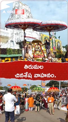 చినశేష వాహనంపై తిరుమల శ్రీవారి ఊరేగింపు