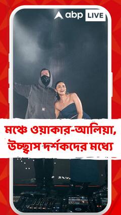 'জিগরা'র প্রচারে অ্যালেন ওয়াকারের কনসার্টে হাজির আলিয়া