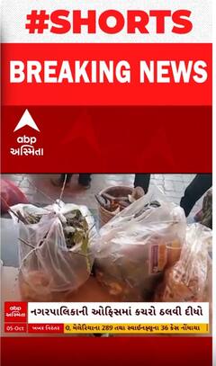 Bhavnagar | ચીફ ઓફિસરના ટેબલ પર નાગરિકોએ કરી દીધો કચરાનો ઢગલો, જુઓ અનોખો વિરોધ