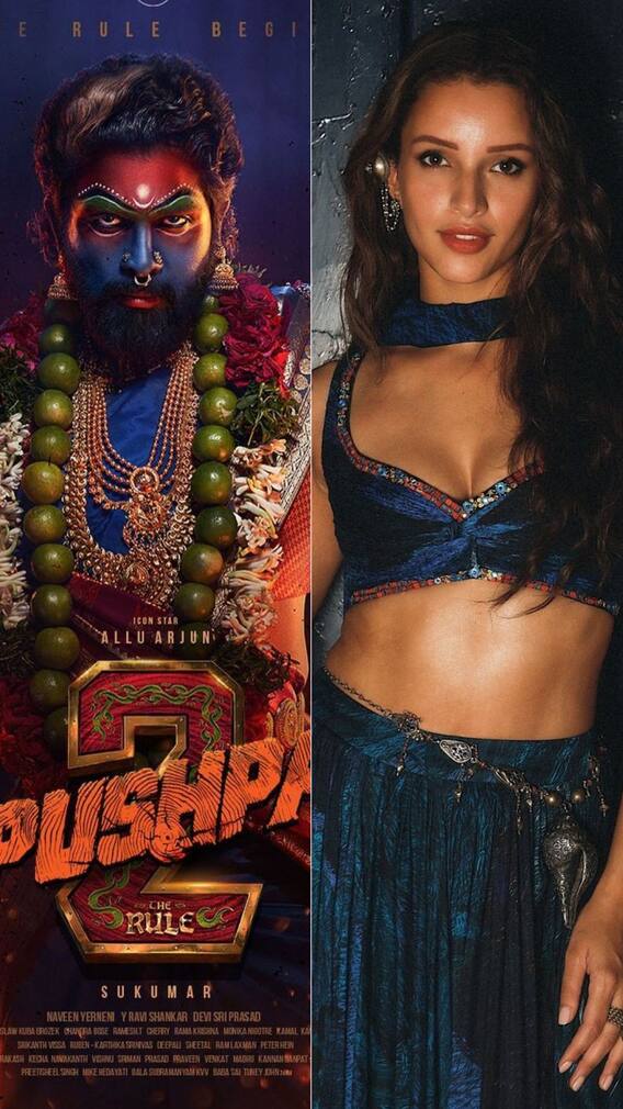 পছন্দ হল না নির্মাতাদের! 'পুষ্পা ২'র আইটেম গান থেকে বাদ তৃপ্তি?