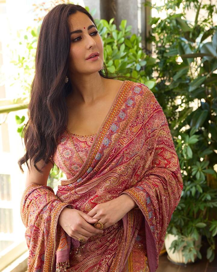 On Saturday, Katrina treated her fans to a closer look at her festive outfit from the previous day's event. She wore a vibrant multi-colored silk saree from Tarun Tahiliani’s collection, adorned with intricate embroidery and embellishments.