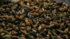 Acidity Problem: কিছু খেলেই অ্যাসিডিটি হচ্ছে, সমস্যার সমাধান করবে এই চার মশলা