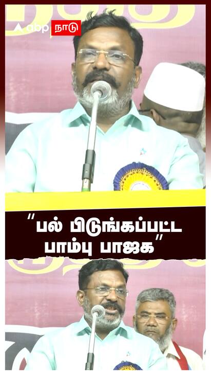 Thirumavalavan on BJP - watch video Thirumavalavan on BJP : பல் பிடுங்கப்பட்ட பாம்பு பாஜக