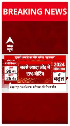 Haryana Assembly Elections 2024: 9.5% Turnout Recorded by 9 AM; Highest Voting in Jind at 13%