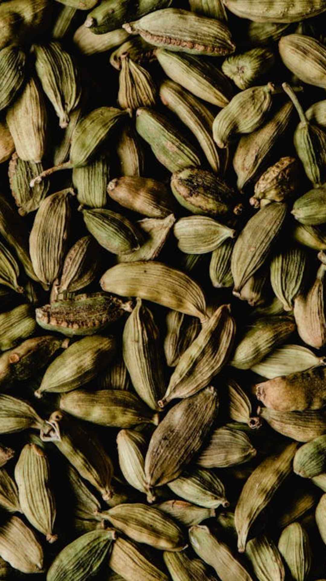 इलायची में एंटीऑक्सीडेंट और