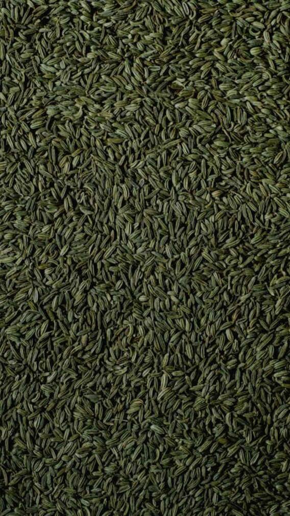 कब्ज की हो जाएगी छुट्टी, बस चाय में डाल लें यह चीज