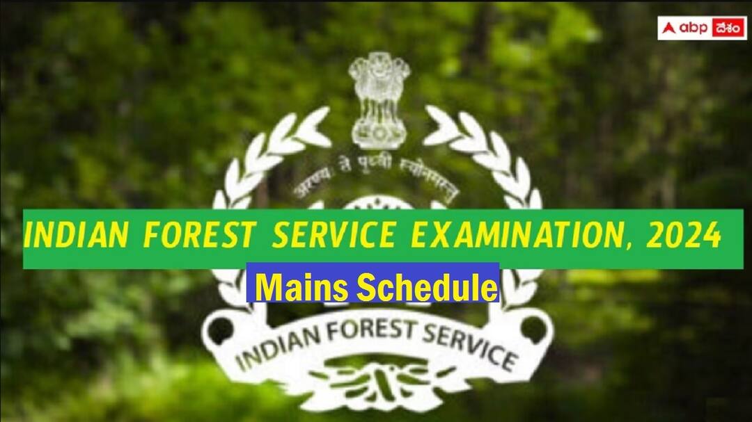 IFS Exam Schedule: ఐఎఫ్ఎస్ మెయిన్స్ పరీక్షల షెడ్యూలు వెల్లడి, ఏ పరీక్ష ఎప్పుడంటే? upsc ifs mains exam date 2024 announced check complete schedule here IFS Exam Schedule: ఐఎఫ్ఎస్ మెయిన్స్ పరీక్షల షెడ్యూలు వెల్లడి, ఏ పరీక్ష ఎప్పుడంటే?