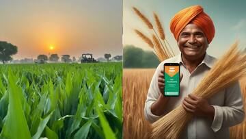 உங்களுக்கு ரூ. 2 ஆயிரம் வந்துச்சா? பிஎம் கிசான் திட்டத்தின் 18-வது தவணை.. தெரிஞ்சுக்கோங்க! 