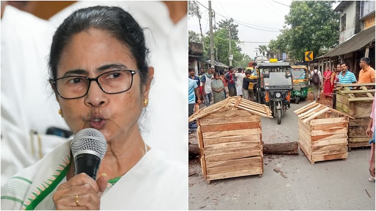 Jaynagar Rape-Homicide Case: Mamata Asks Police To Guarantee Demise Penalty In 3 Months, Decries ‘Med