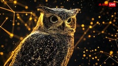 आखिर खत्म हुई 31 साल से चल रही खजाने की खोज, विजेता के हाथ लगा यह खास उल्लू