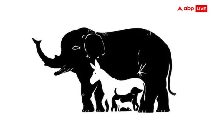 आपके पास इस पहेली को सुलझाने के लिए केवल 20 सेकंड का वक्त है. आज अगर आप 20 सेकंड में इसे खोज निकालते हैं तो आपके दिमाग की दाद हर कोई देगा. तस्वीर में कुल 13 जानवर हैं.