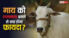 भारत के किस राज्य ने गाय को दिया 'राज्यमाता' का दर्जा, इससे गोवंश को क्या होगा फायदा?