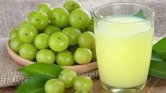 Amla Juice: খালি পেটে আমলকির রস খাওয়া কতটা উপকারী? এই পানীয় কীভাবে খেয়াল রাখে স্বাস্থ্যের?