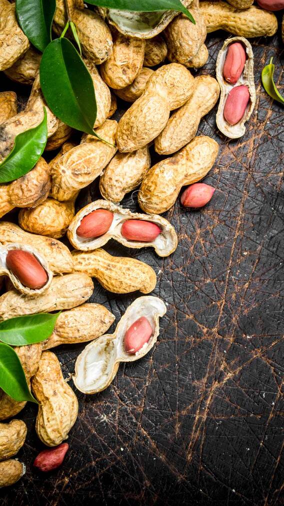 ਜ਼ਿਆਦਾ ਮੂੰਗਫਲੀ ਖਾਣ ਨਾਲ ਹੁੰਦੀਆਂ ਨੇ ਇਹ ਦਿੱਕਤਾਂ