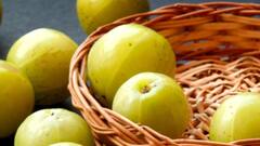 Amla Juice: খালি পেটে আমলকির রস খাওয়া কতটা উপকারী? এই পানীয় কীভাবে খেয়াল রাখে স্বাস্থ্যের?