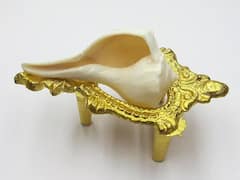 Vastu Tips :  दिवाळीआधीच घराच्या 'या' दिशेला ठेवा शंख; पैशांची आवक वाढेल, देवी लक्ष्मीची राहील कृपा