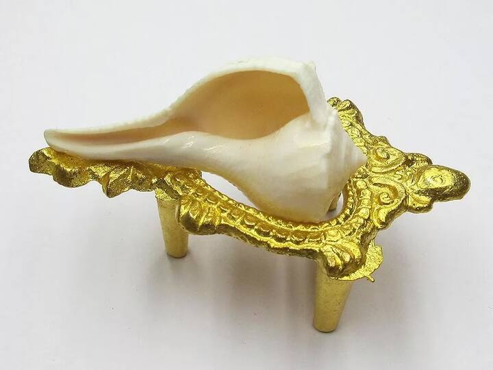 त्यामुळे म्हणतात की, ज्या घराच्या दिशेला शंखाची पूजा केली जाते तेव्हा देवी लक्ष्मीची विशेष कृपा असते. यासाठीच घराच्या कोणत्या दिशेला शंख तुम्हाला श्रीमंत बनवू शकतो ते जाणून घेऊयात.