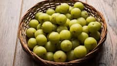 Amla Juice: খালি পেটে আমলকির রস খাওয়া কতটা উপকারী? এই পানীয় কীভাবে খেয়াল রাখে স্বাস্থ্যের?